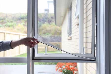 Tela mosquiteira em janelas ajuda a prevenir contra cupins